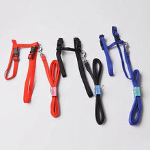 Load image into Gallery viewer, Cat Dog Collar Harness Leash Adjustable Nylon Pet Traction Cat Kitten Halter Collar gato Cats Products Pet Harness Belt